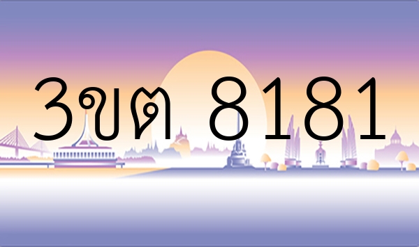 3ขต 8181